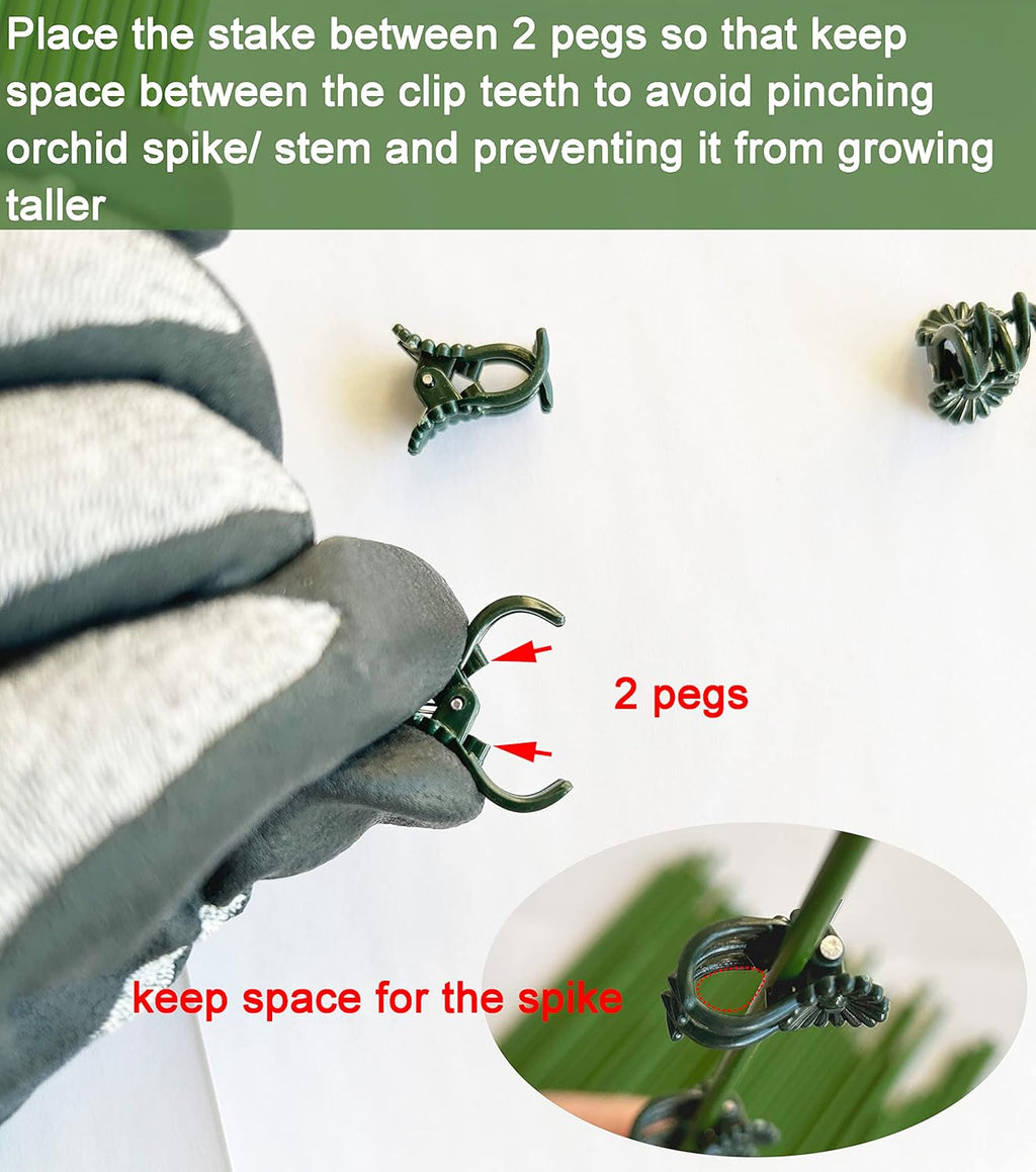40 Reusable Plant Support Clips - Garden Tool for Supporting and Guiding Plants and Flowers